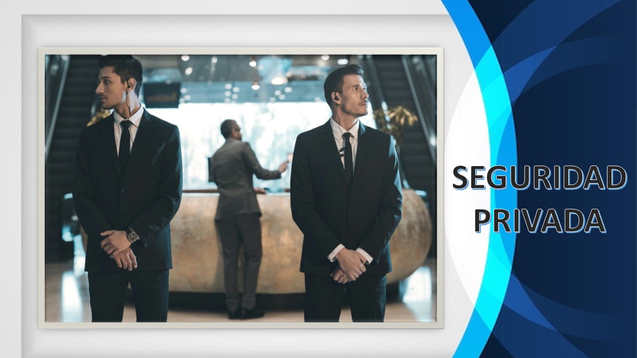 Seguridad Privada